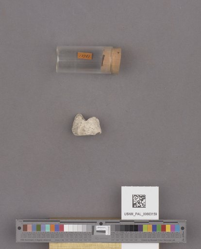 NSF ADBC EPICC TCN