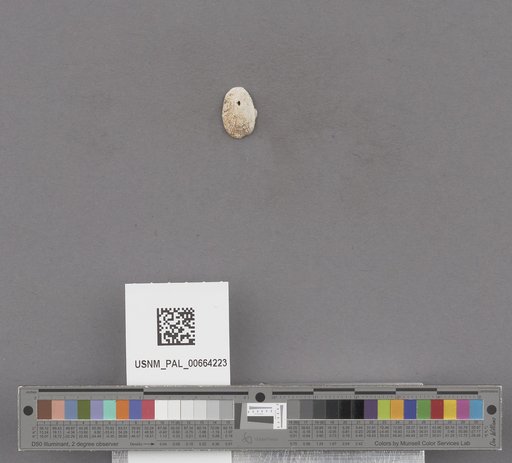 NSF ADBC EPICC TCN
