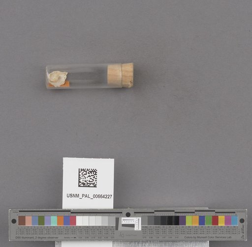 NSF ADBC EPICC TCN