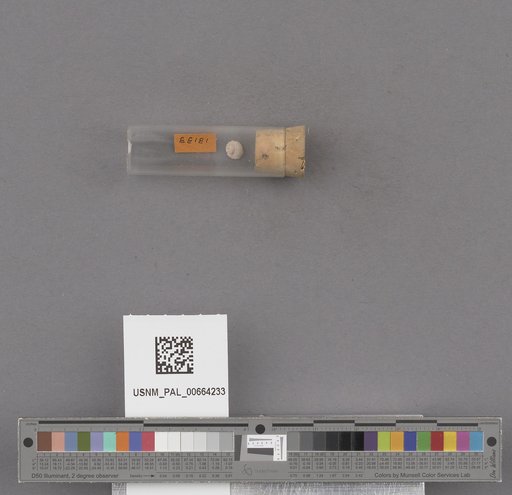 NSF ADBC EPICC TCN