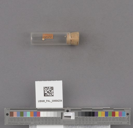 NSF ADBC EPICC TCN