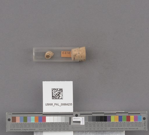 NSF ADBC EPICC TCN