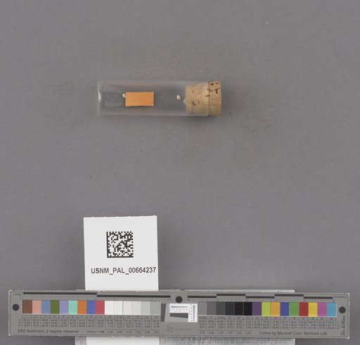 NSF ADBC EPICC TCN