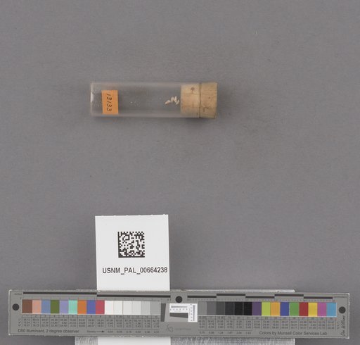 NSF ADBC EPICC TCN