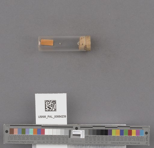 NSF ADBC EPICC TCN