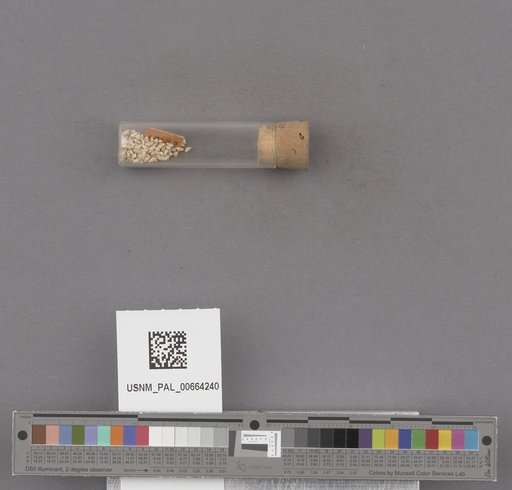 NSF ADBC EPICC TCN
