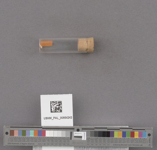 NSF ADBC EPICC TCN