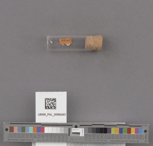NSF ADBC EPICC TCN