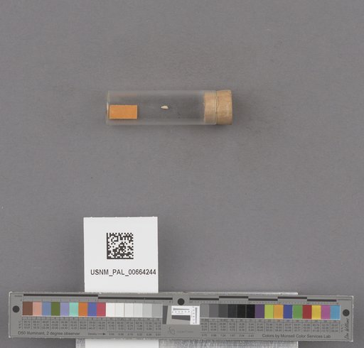 NSF ADBC EPICC TCN