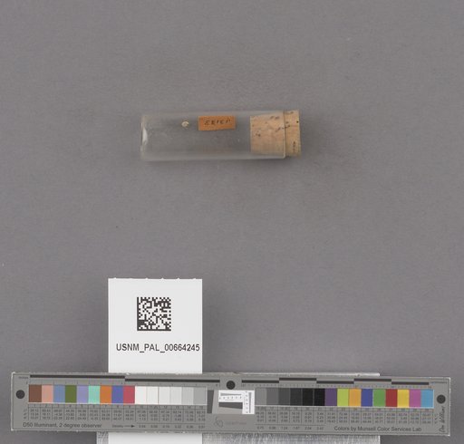 NSF ADBC EPICC TCN