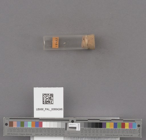 NSF ADBC EPICC TCN