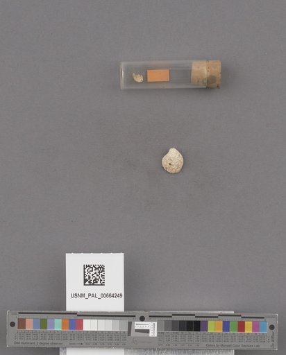 NSF ADBC EPICC TCN