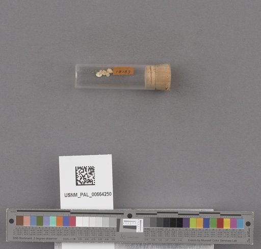 NSF ADBC EPICC TCN