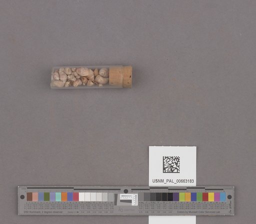 NSF ADBC EPICC TCN