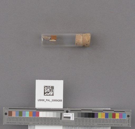 NSF ADBC EPICC TCN