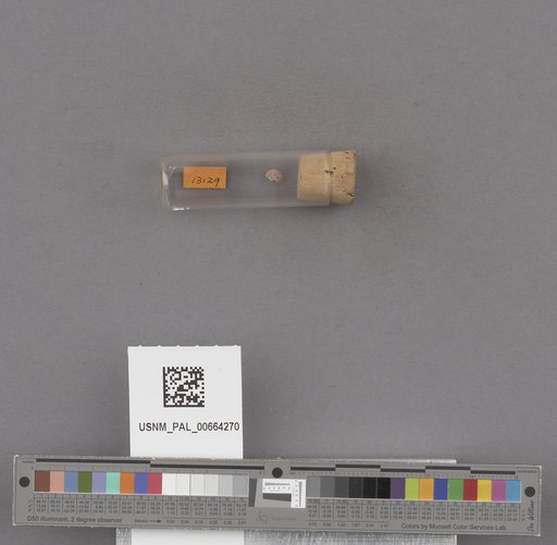 NSF ADBC EPICC TCN