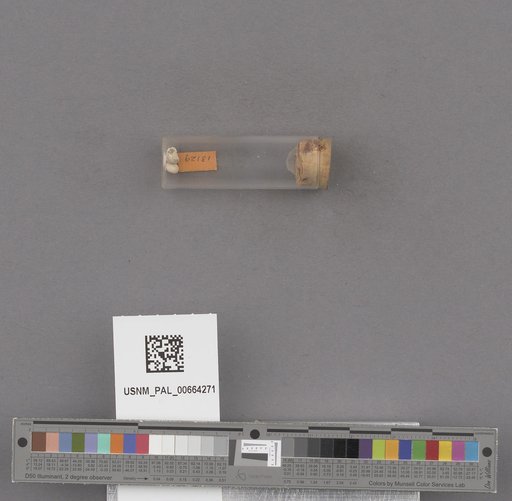 NSF ADBC EPICC TCN