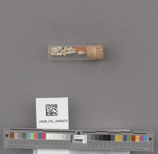 NSF ADBC EPICC TCN