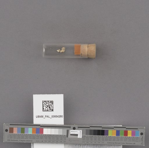 NSF ADBC EPICC TCN