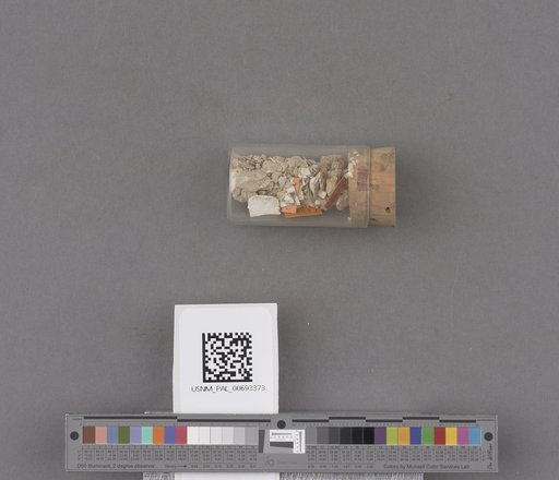 NSF ADBC EPICC TCN