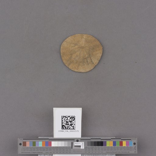 NSF ADBC EPICC TCN