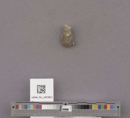 NSF ADBC EPICC TCN