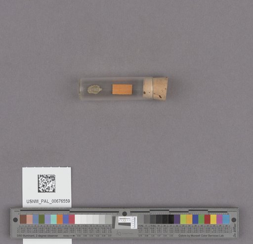 NSF ADBC EPICC TCN