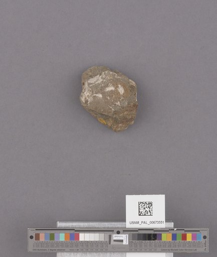 NSF ADBC EPICC TCN