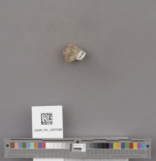 NSF ADBC EPICC TCN