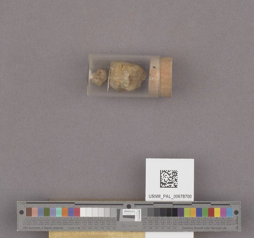 NSF ADBC EPICC TCN