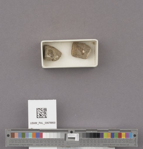 NSF ADBC EPICC TCN