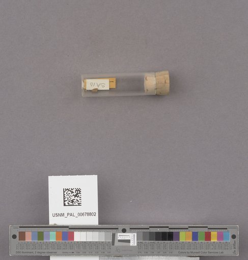 NSF ADBC EPICC TCN