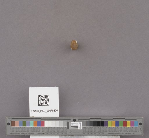 NSF ADBC EPICC TCN