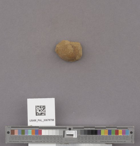 NSF ADBC EPICC TCN