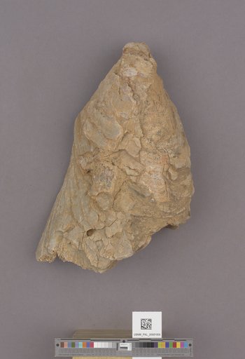 NSF ADBC EPICC TCN