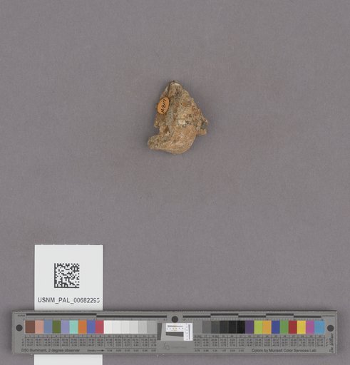 NSF ADBC EPICC TCN