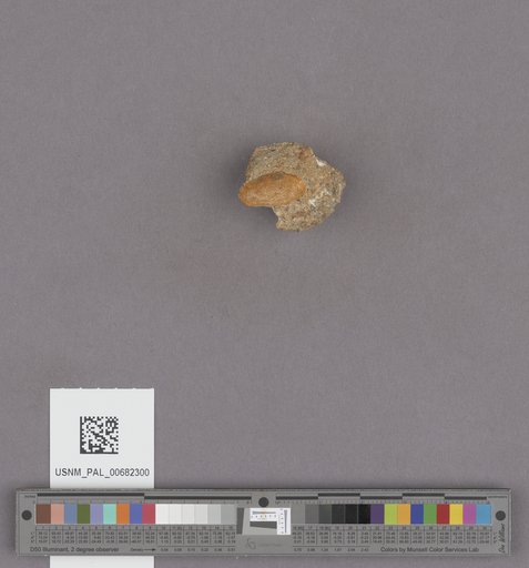 NSF ADBC EPICC TCN