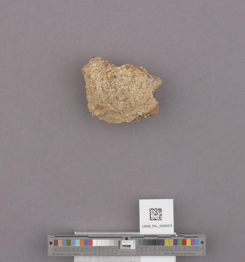 NSF ADBC EPICC TCN