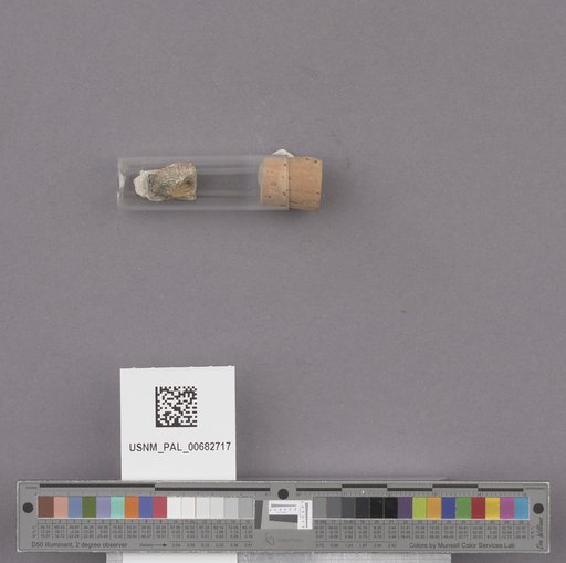 NSF ADBC EPICC TCN
