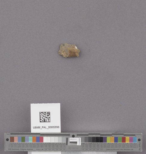 NSF ADBC EPICC TCN