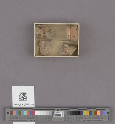 NSF ADBC EPICC TCN