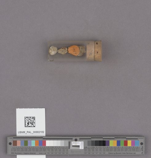NSF ADBC EPICC TCN