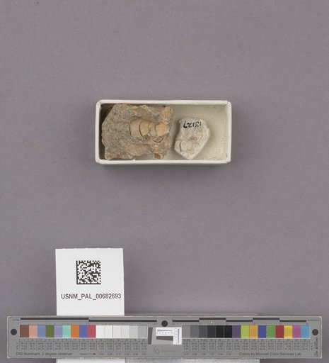 NSF ADBC EPICC TCN