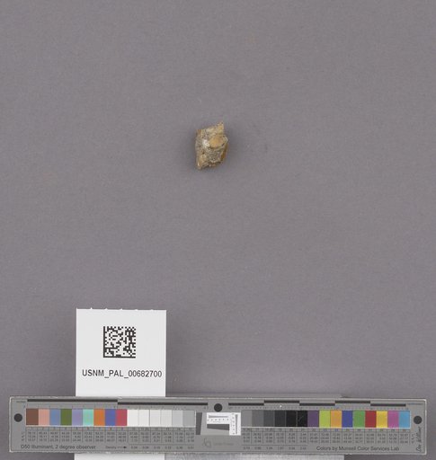 NSF ADBC EPICC TCN