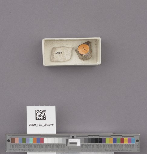 NSF ADBC EPICC TCN