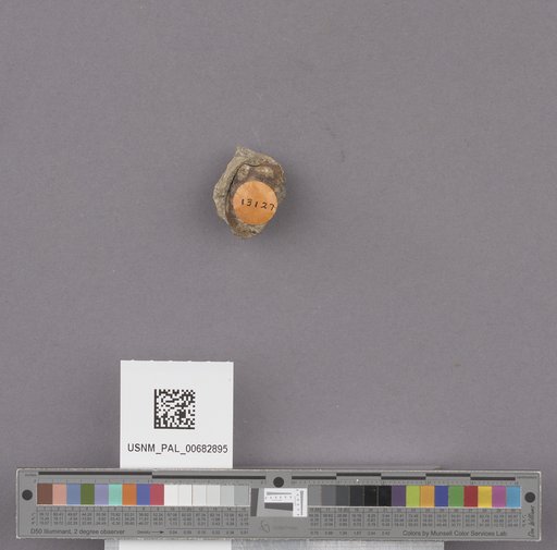 NSF ADBC EPICC TCN