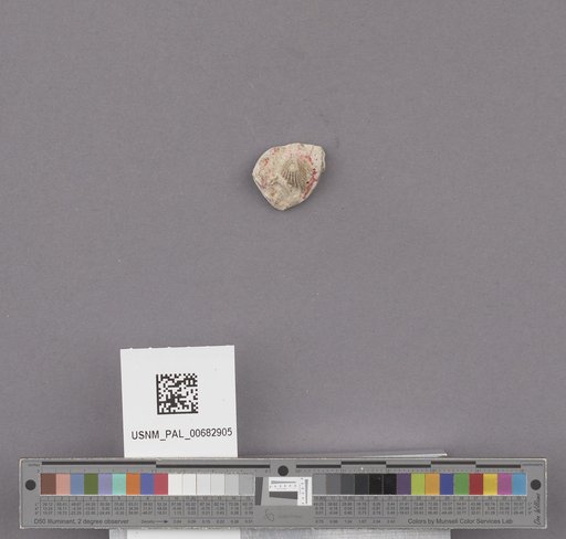 NSF ADBC EPICC TCN