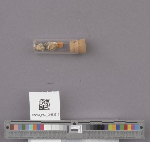 NSF ADBC EPICC TCN
