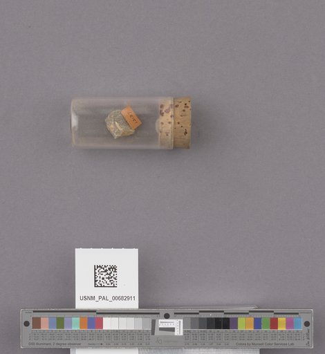 NSF ADBC EPICC TCN