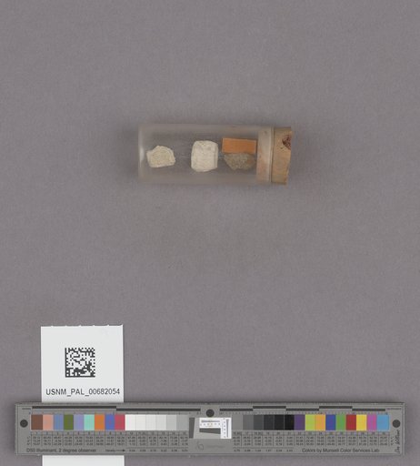 NSF ADBC EPICC TCN